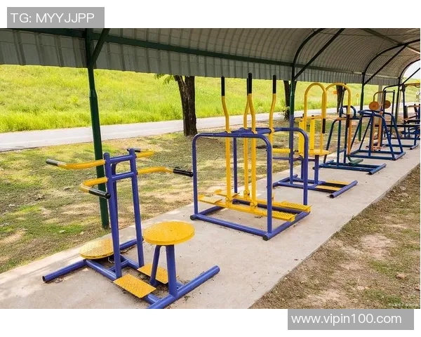 徐州健身器材市场分析与发展趋势探讨助力健康生活方式的普及